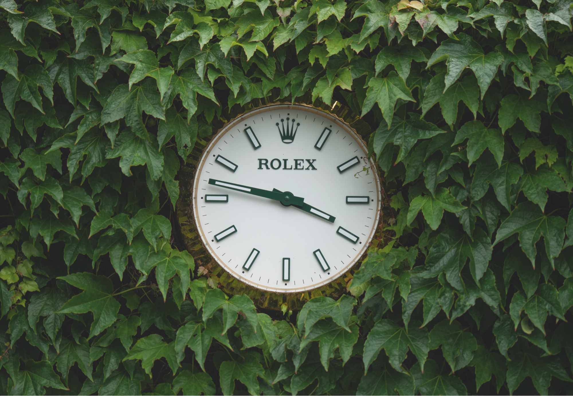 rolex WIM21jb 01738 landscape rolex WIM21jb 01738 landscape