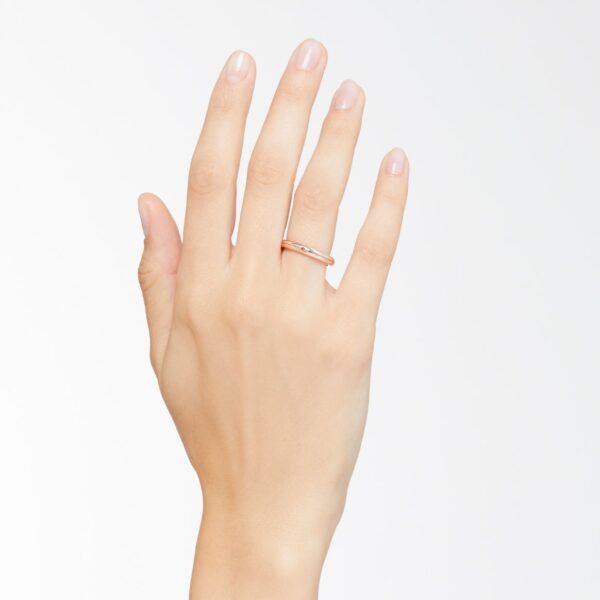 DAB5000_BRISE_0009R_100_Dodo_essentials-ring-9k-rose-gold.jpg