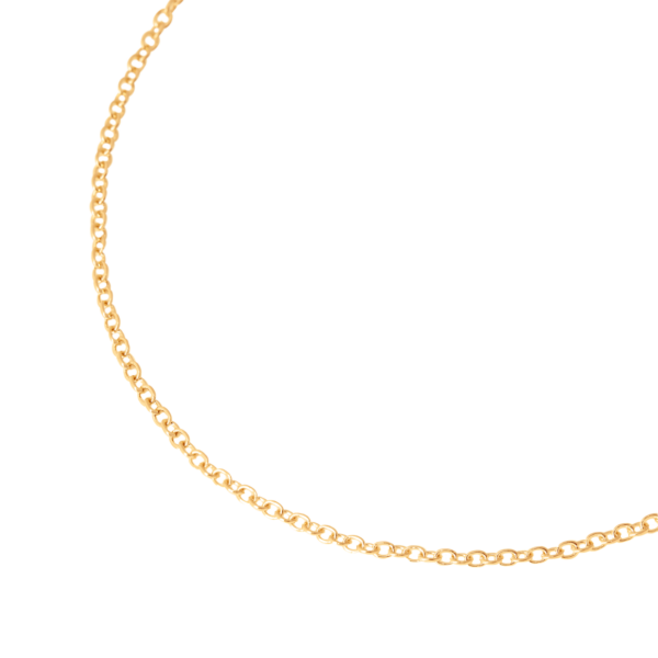 DCA8004_CHAIN_000OG_020_Dodo_essentials-necklace-18k-yellow-gold.png