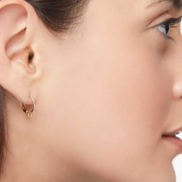 DHB4000_HOOPS_000OG_100_Dodo_essentials-hoop-earring-18k-yellow-gold.jpg