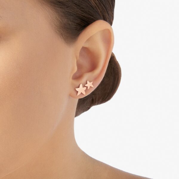 DHB9006_STARX_0009R_110_Dodo_star-earring-9k-rose-gold-small-model-half-pair.jpg