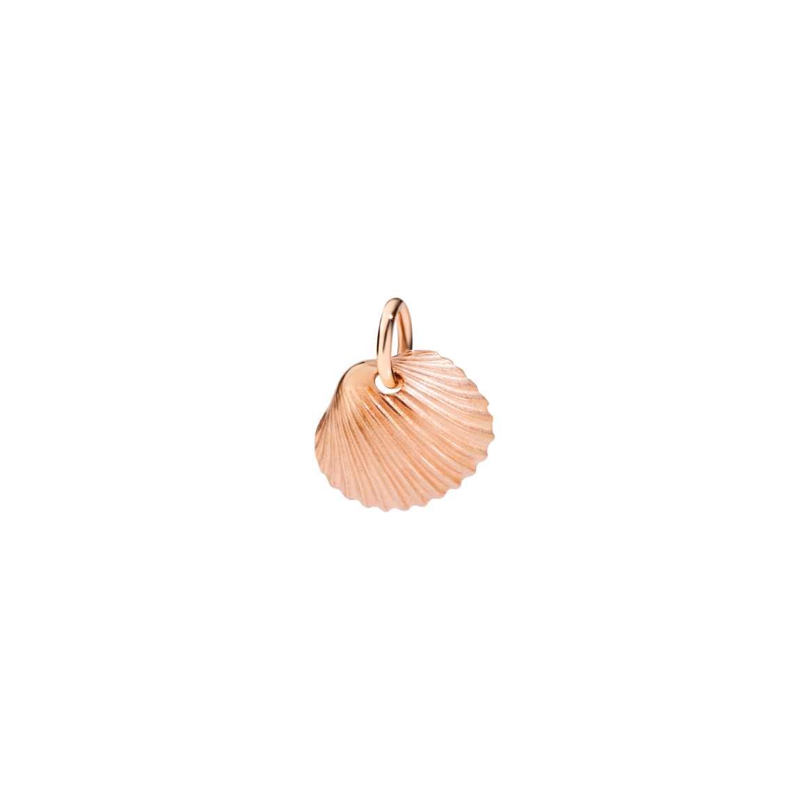 DMB7034_SHELS_0009R_010_Dodo_shell-charm-9k-rose-gold.png