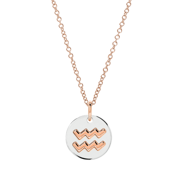 DMC2012_ZODAC_0009A_020_Dodo_aquarius-charm-silver-9k-rose-gold.png