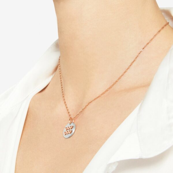 DMC2012_ZODAC_0009A_110_Dodo_aquarius-charm-silver-9k-rose-gold.jpg