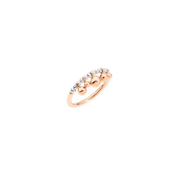 DAC0002_BOLLI_0009A_010.png