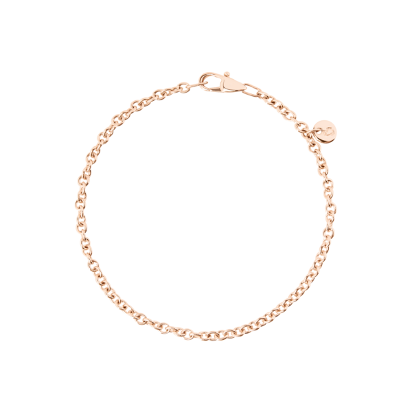 DBB2000_CHAIN_0009R_010.png