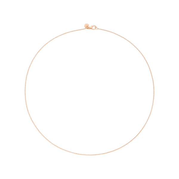 DCB8003_BOLLI_0009R_010.png