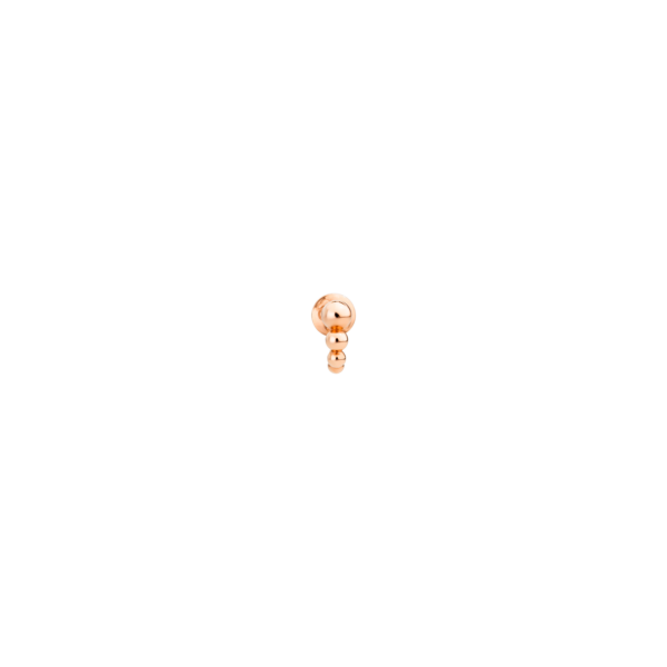 DHC1000_BOLLI_0009R_010.png