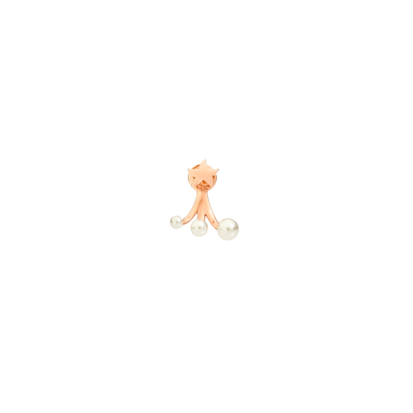 DHC2009_RSTAR_WCP9R_010.png
