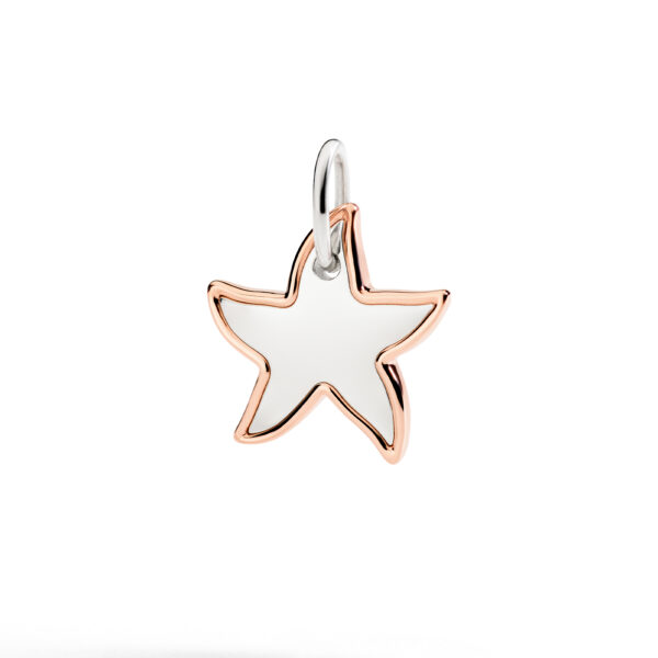 DMC5023-STARL-0009R_010.jpg