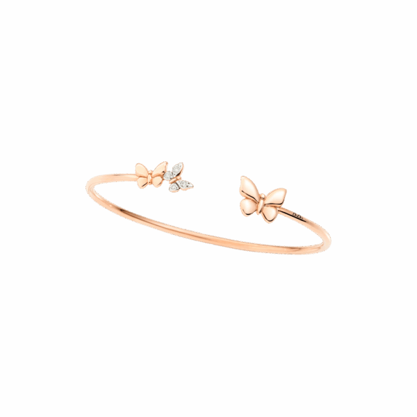 DBC2003_BFLYS_DB09R_010.png